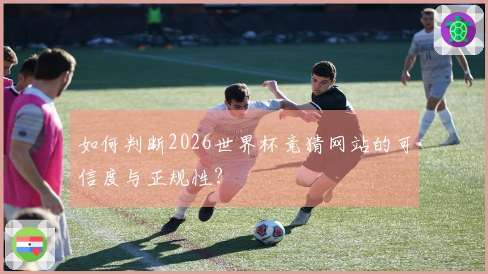 如何判断2026世界杯竞猜网站的可信度与正规性？