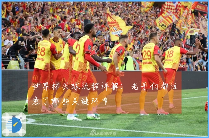 世界杯买球流程详解：老手们都注意了哪些关键环节
