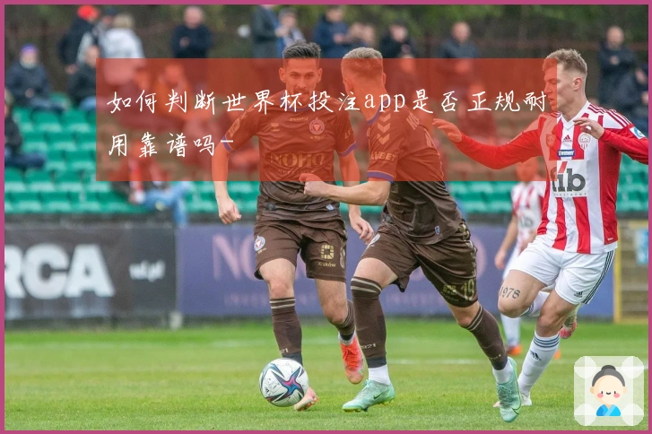 如何判断世界杯投注app是否正规耐用靠谱吗-